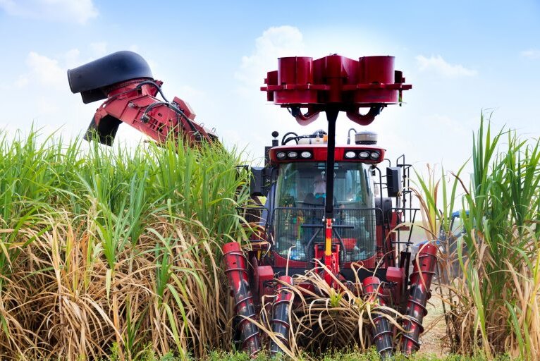 La agroindustria azucarera se ha posicionado como uno de los sectores fundamentales para el desarrollo económico del país.